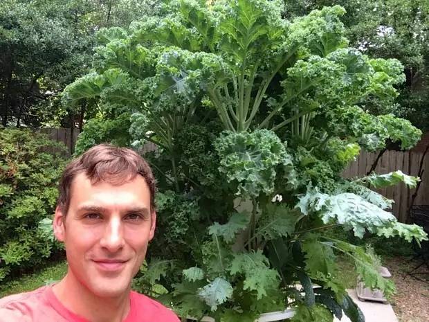 什么水果蔬菜能补硒(蔬菜能水果补硒嘛)-硒宝网