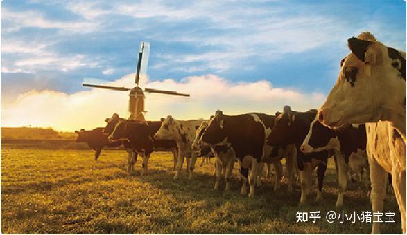 补铁的奶粉有哪些（奶粉补铁有哪种宝宝）-硒宝网