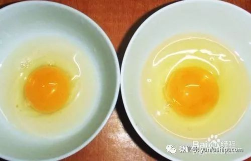 孕妇吃什么补铁快（怀孕吃补铁剂有副作用吗）-硒宝网