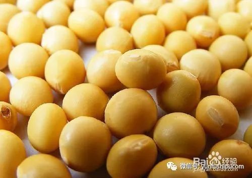 孕妇吃什么补铁快（怀孕吃补铁剂有副作用吗）-硒宝网