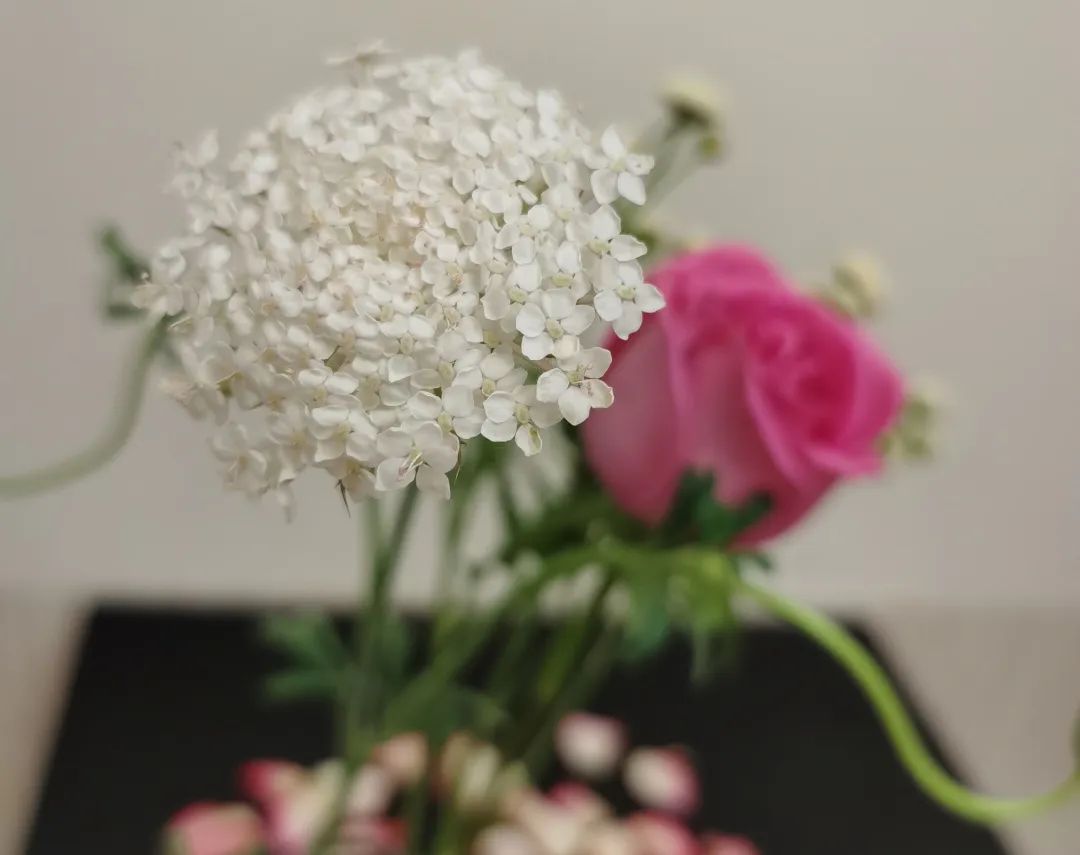 孕妇吃什么补铁快（孕妇吃补铁的药会便秘吗）-硒宝网