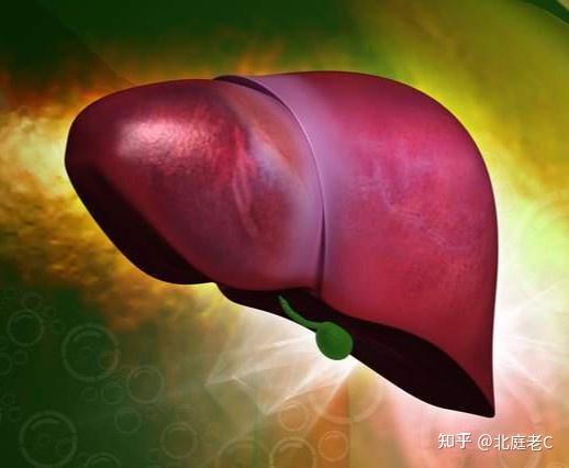 海参补铁吗（海参补铁补血吗）-硒宝网