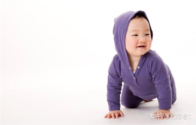 海参补铁吗（海参补铁补血吗）-硒宝网