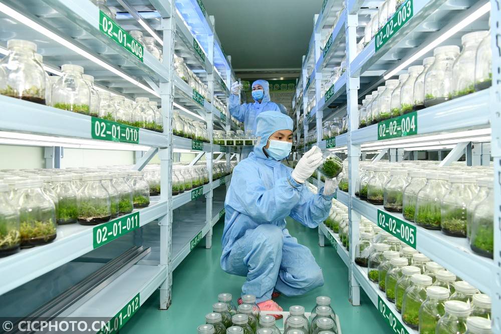 补硒改善睡眠的患者（硒元素促进睡眠）-硒宝网