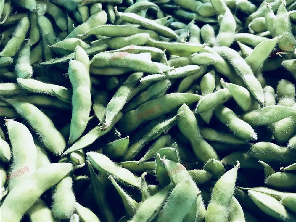 毛豆补钙吗（毛豆补钙）-硒宝网