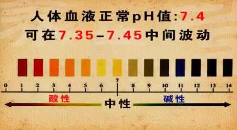 酸性体质可以补硒吗（硒可以随便补充吗）-硒宝网