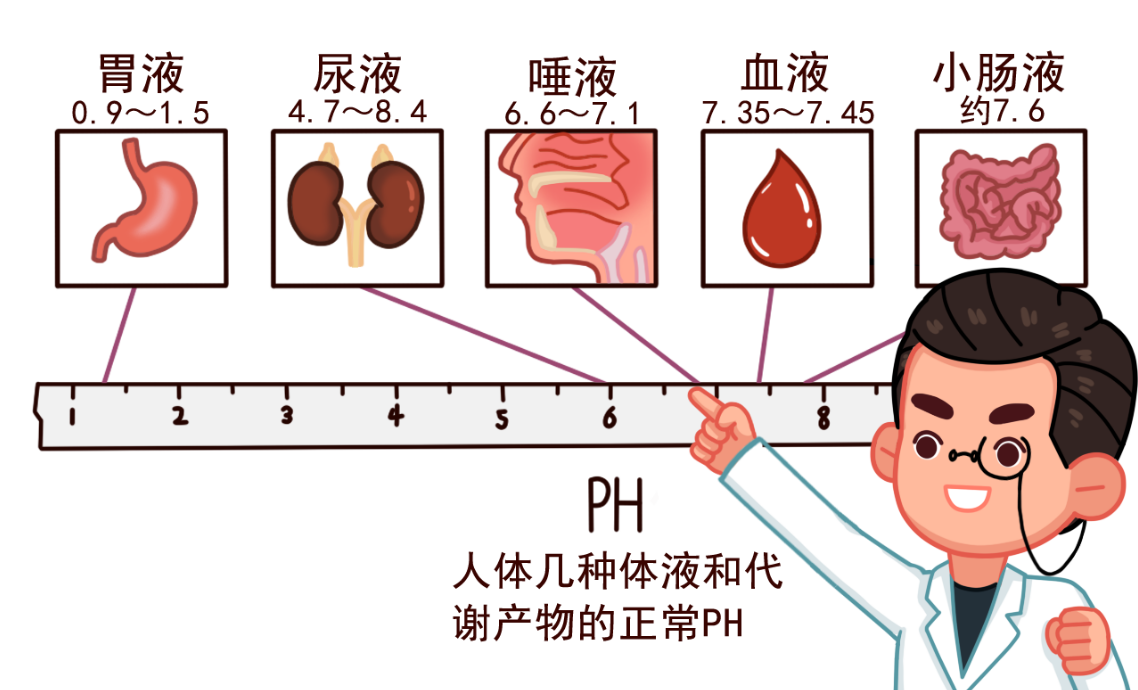酸性体质可以补硒吗(能随便补硒吗)-硒宝网