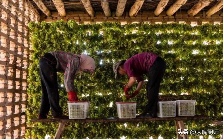 葡萄干补铁吗(葡萄干补铁补血吗)-硒宝网
