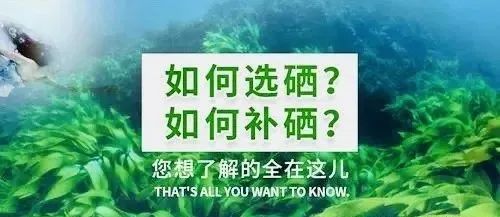 放化疗每天补硒多少(每天补放化疗硒会怎么样)-硒宝网