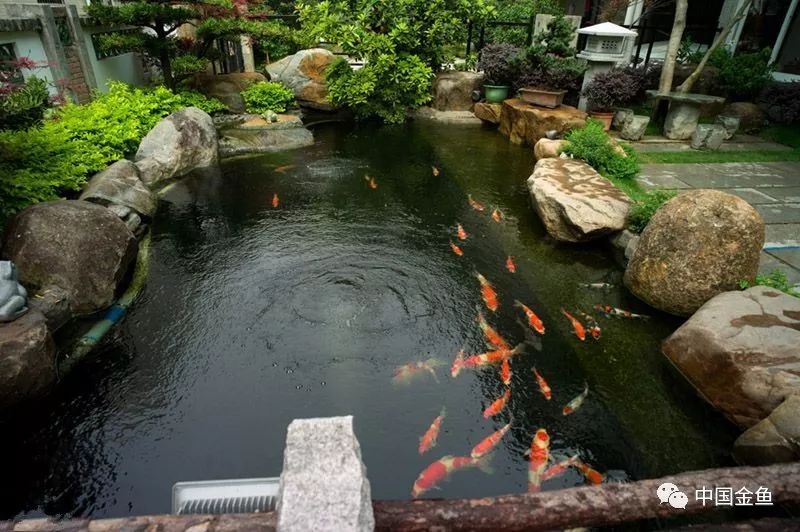 补硒和益生菌哪个好（益生菌和硒的区别）-硒宝网