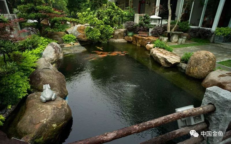 补硒和益生菌哪个好（益生菌和硒的区别）-硒宝网