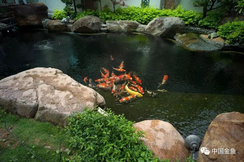 补硒和益生菌哪个好（益生菌和硒的区别）-硒宝网