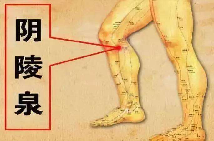 子宫肌瘤需要补硒嘛(子宫肌瘤补硒可以不)-硒宝网