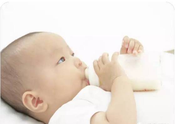 补钙最佳食物（哪些食物补钙最佳）-硒宝网