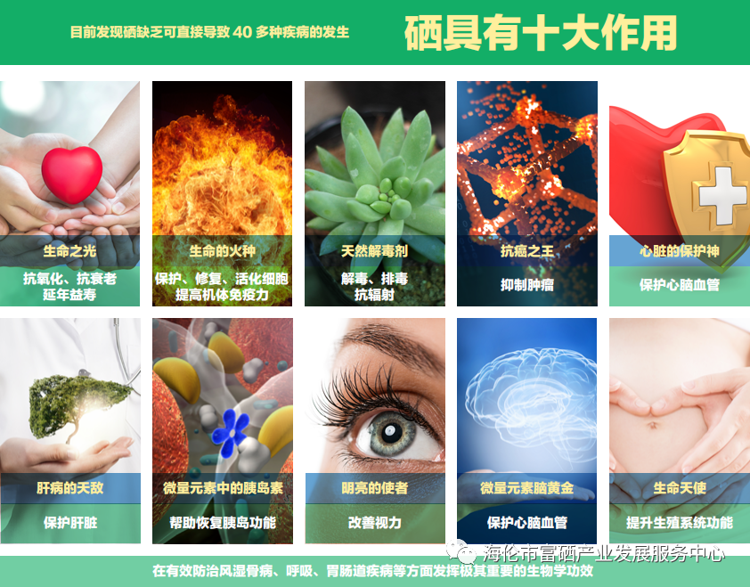 全民科学补硒日发起（全民科学补硒养生工程官网）-硒宝网