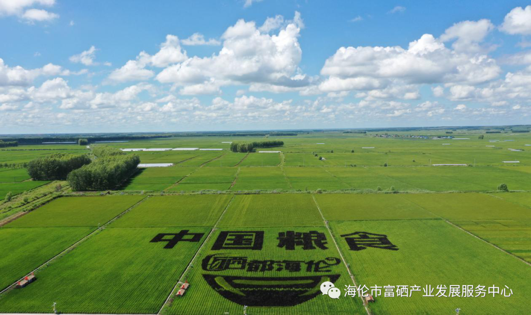 全民科学补硒日发起（全民科学补硒养生工程官网）-硒宝网