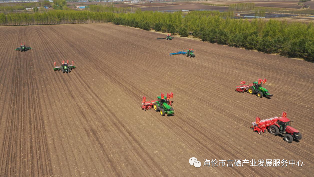 全民科学补硒日发起（全民科学补硒养生工程官网）-硒宝网