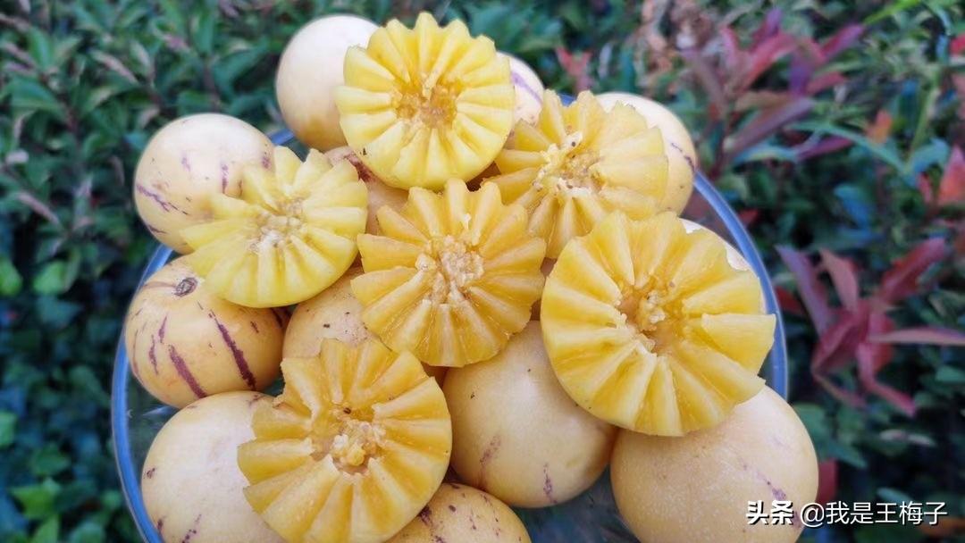 什么水果补硒的好处（吃什么水果补硒效果最好）-硒宝网