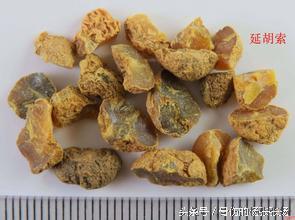 壮骨补钙胶囊(胶囊补钙壮骨有用吗)-硒宝网