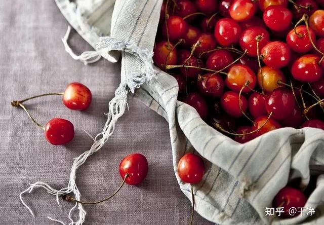 补铁好处(补铁的好处和坏处)-硒宝网