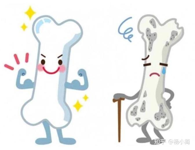 结石能补钙吗(结石补钙吃什么钙片好)-硒宝网