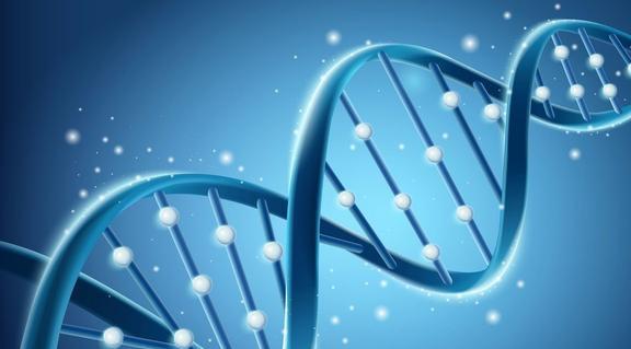 最佳补硒食物有哪些（补补硒的食物）-硒宝网