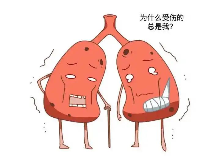 壮骨补钙胶囊（补钙壮骨胶囊的功效和作用）-硒宝网