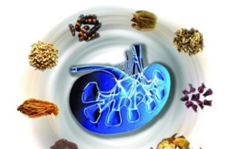 壮骨补钙胶囊（补钙壮骨胶囊的功效和作用）-硒宝网