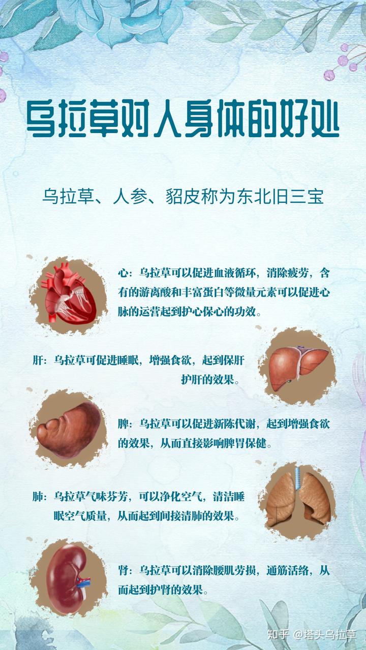 补硒食物芦笋能吃吗（能补食物芦笋吃硒吗）-硒宝网