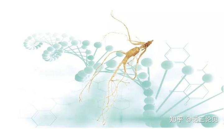 人体补硒买什么牌子（比较好的补硒品牌）-硒宝网