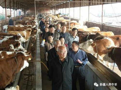 怎样补锌和补硒最好（补锌补硒吃什么药）-硒宝网