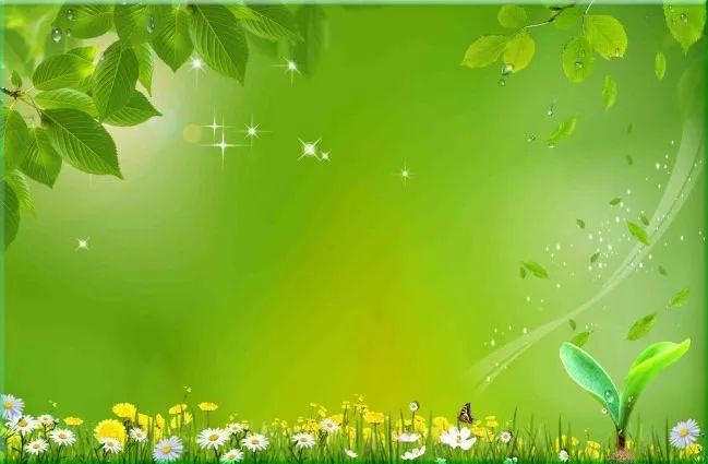 孕多少周停止补钙（孕妇补钙到几周停止）-硒宝网