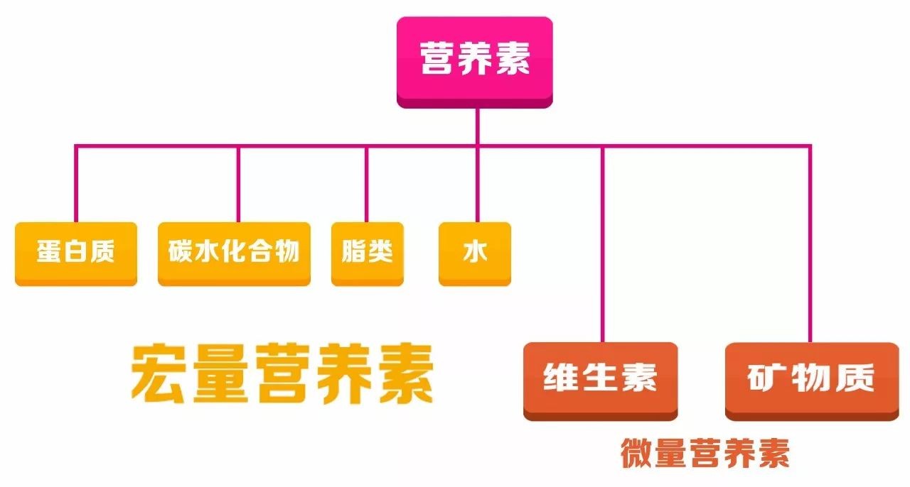 维生素ad可以补钙吗(维生素ad可以补充钙吗)-硒宝网