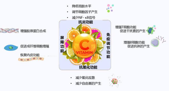 维生素ad可以补钙吗(维生素ad可以补充钙吗)-硒宝网