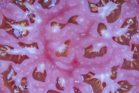 巧克力补铁吗（缺铁吃巧克力）-硒宝网