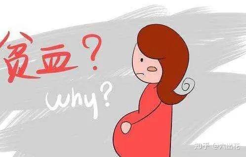 孕妇补铁必吃食物（孕妇吃补铁的食物）-硒宝网