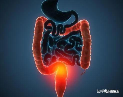 肺癌晚期补硒能好吗(肺癌晚期可以补硒吗)-硒宝网