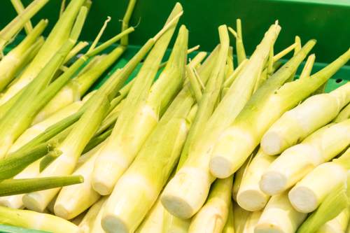 补铁最快的食物有哪些（食物补铁有效吗）-硒宝网