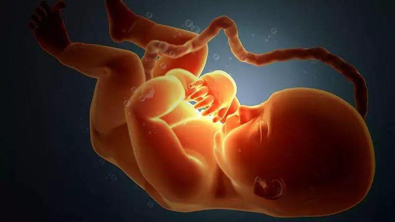 吃什么补铁效果最好孕妇(效果孕妇吃好补铁吗)-硒宝网