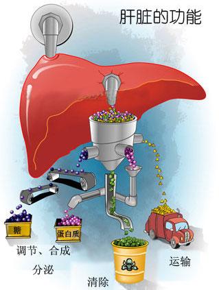 补硒可以调节月经吗(月经期补硒可以吃吗)-硒宝网