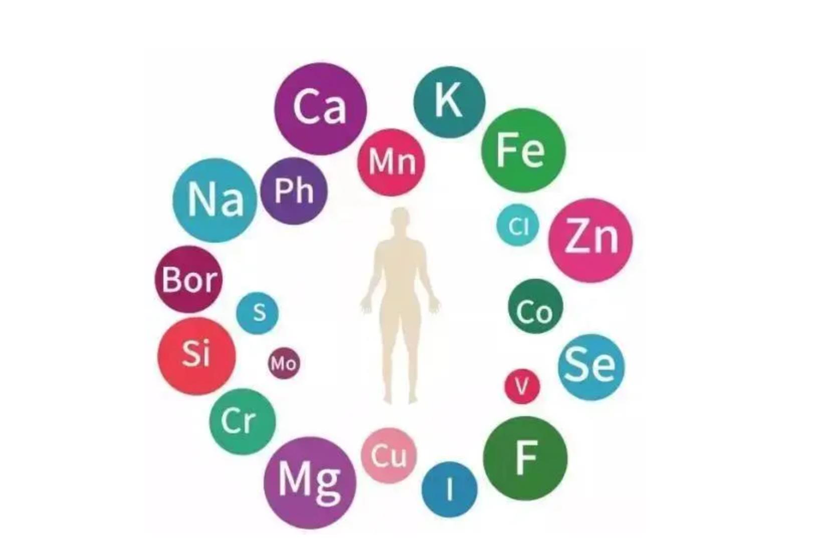 人体所需微量元素有哪些（人体微量元素需有多少种）-硒宝网