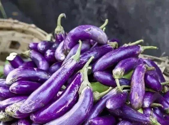 巴西坚果补硒推荐吃(巴西坚果含硒量多少)-硒宝网