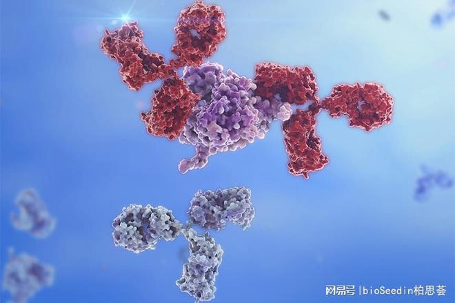 癌症患者康复期补硒(癌症病人补充硒)-硒宝网