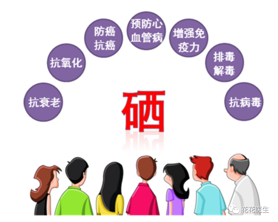 补硒有哪些水果蔬菜(蔬菜水果补硒有什么作用)-硒宝网