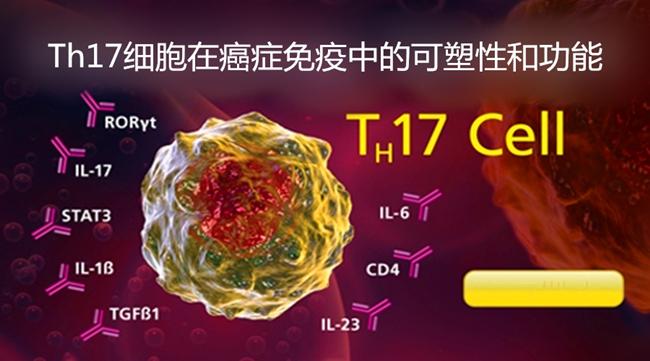 男士补硒有什么效果（男士效果补硒有什么好处）-硒宝网