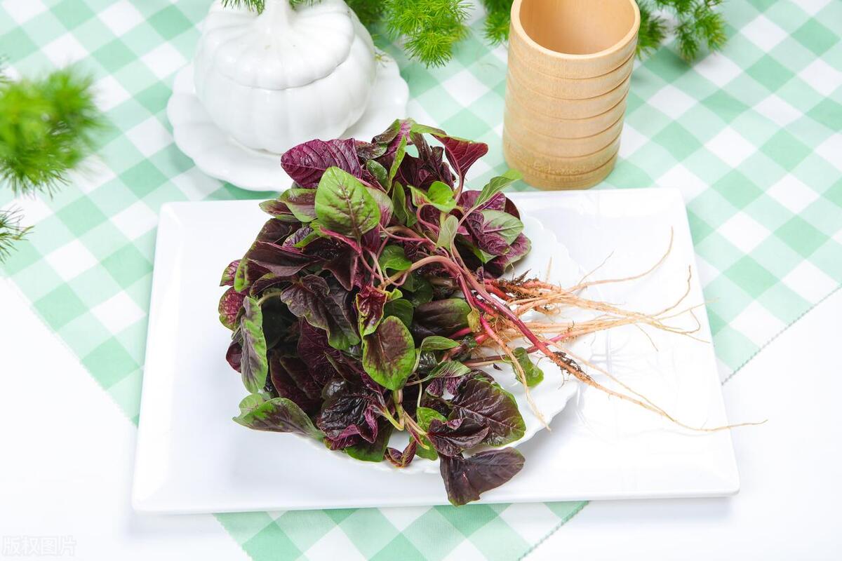 什么蔬菜补钙好（蔬菜类补钙食物有哪些）-硒宝网