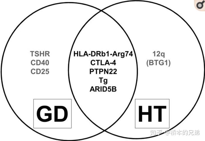 甲亢多年为什么补硒(甲亢补硒)-硒宝网