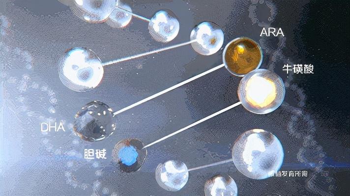 抽筋补钙（补钙抽筋是怎么回事）-硒宝网