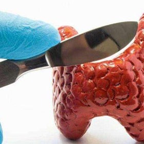 桥本氏甲状腺补硒药(桥本氏甲状腺每天补多少硒)-硒宝网