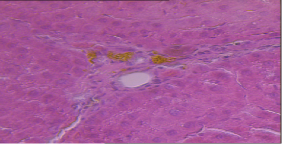 补硒产品怎么选择好（硒的补品有哪些）-硒宝网